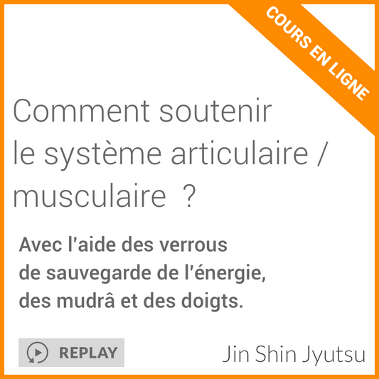 Comment Soutenir le Système Articulaire / Musculaire