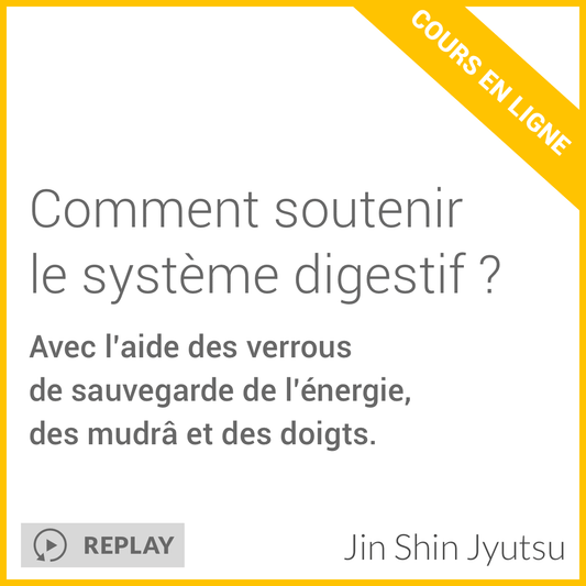 Comment Soutenir le Système Digestif
